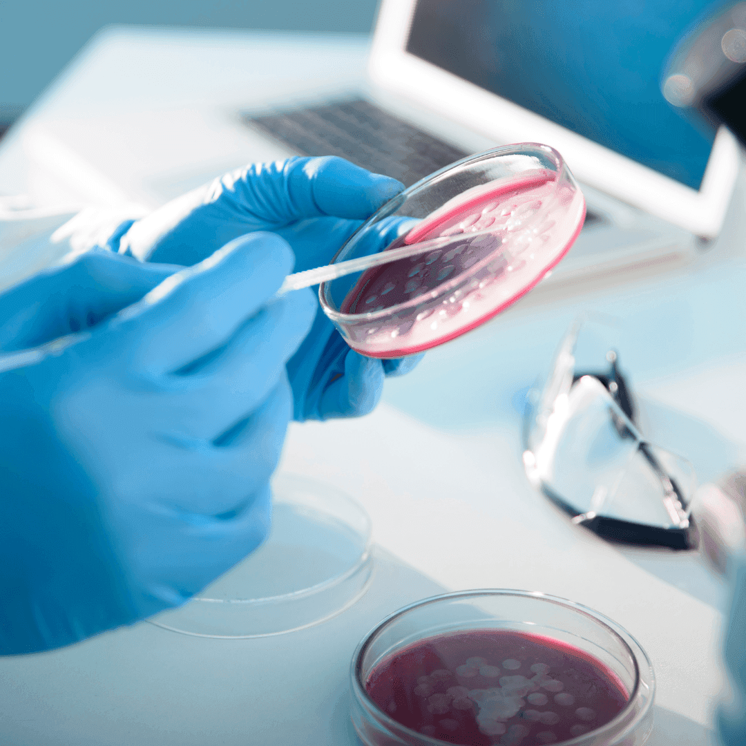 Czystość mikrobiologiczna kosmetyku