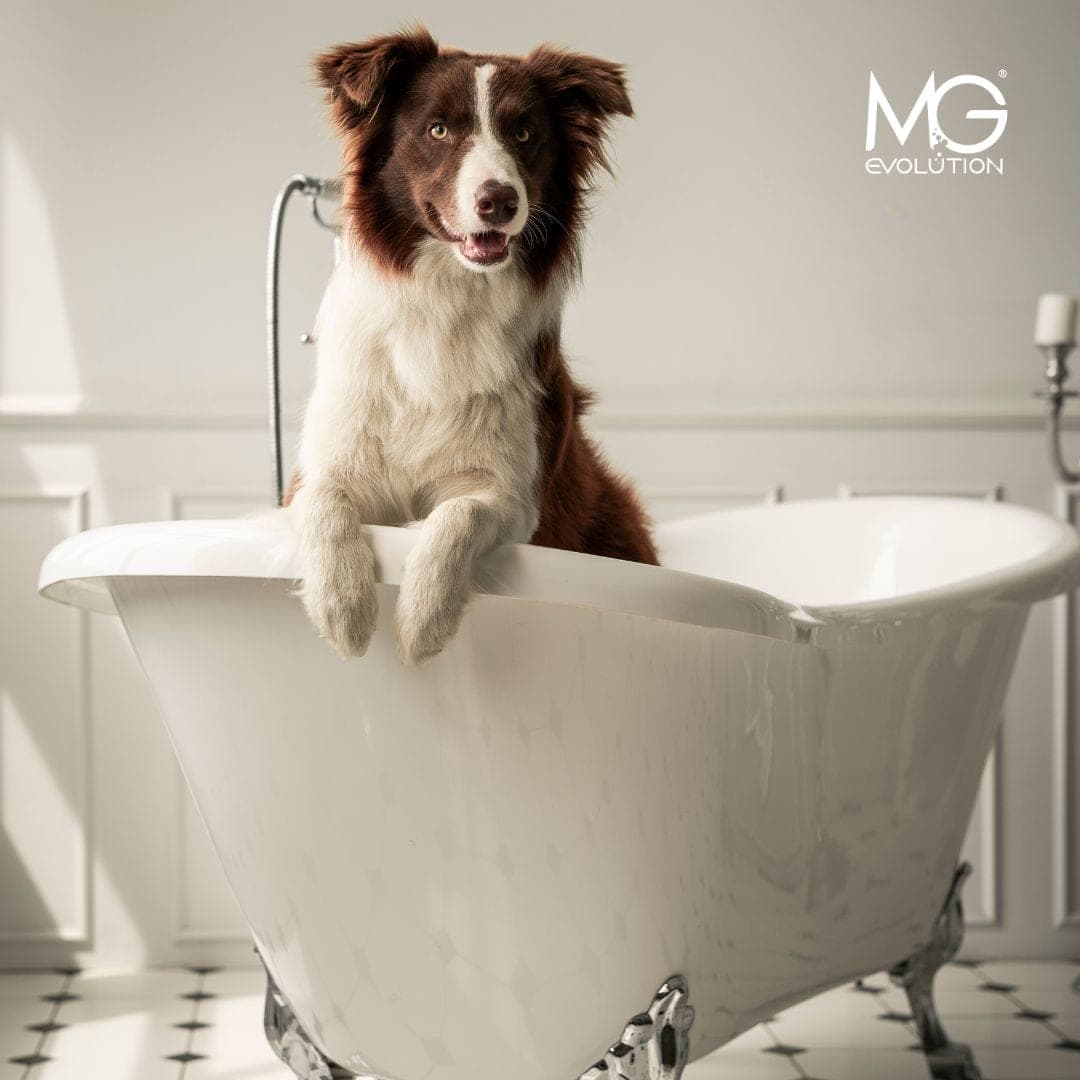Pet care – a new dimension of grooming and a promising direction for market growth.