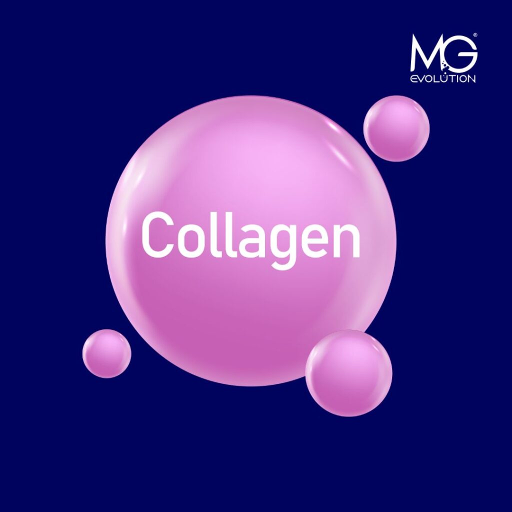Collagen in Cosmetics – Tradition Inspiring Modern Solutions